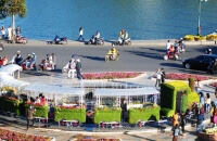 Đoàn tàu hoa ra phố chào Festival hoa Đà Lạt